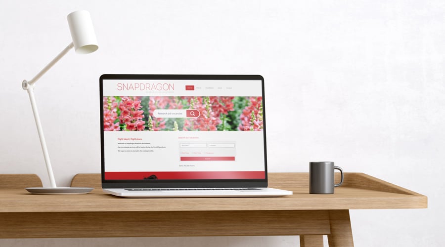 Snapdragon SEO Web Design and Copywriting Suki Marketing