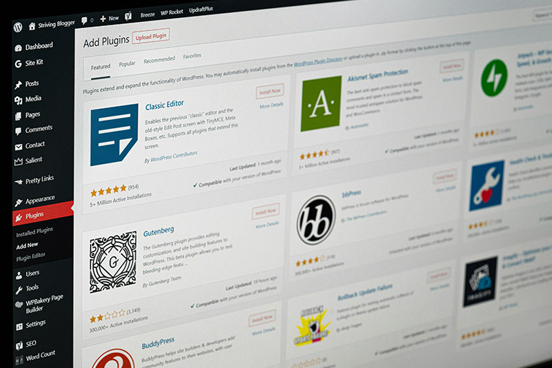 wordpress seo beginner